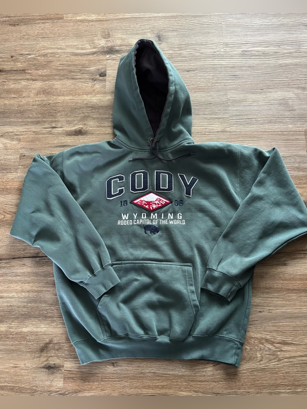 Prairie Mtn XL XLG Cody Wyoming Rodeo Capital Vtg heavy duty blue green hoodie